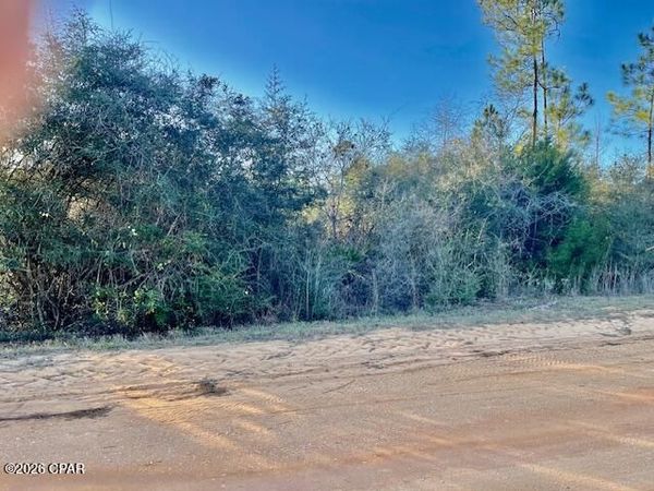 0 Carver Circle , Alford, FL 32420