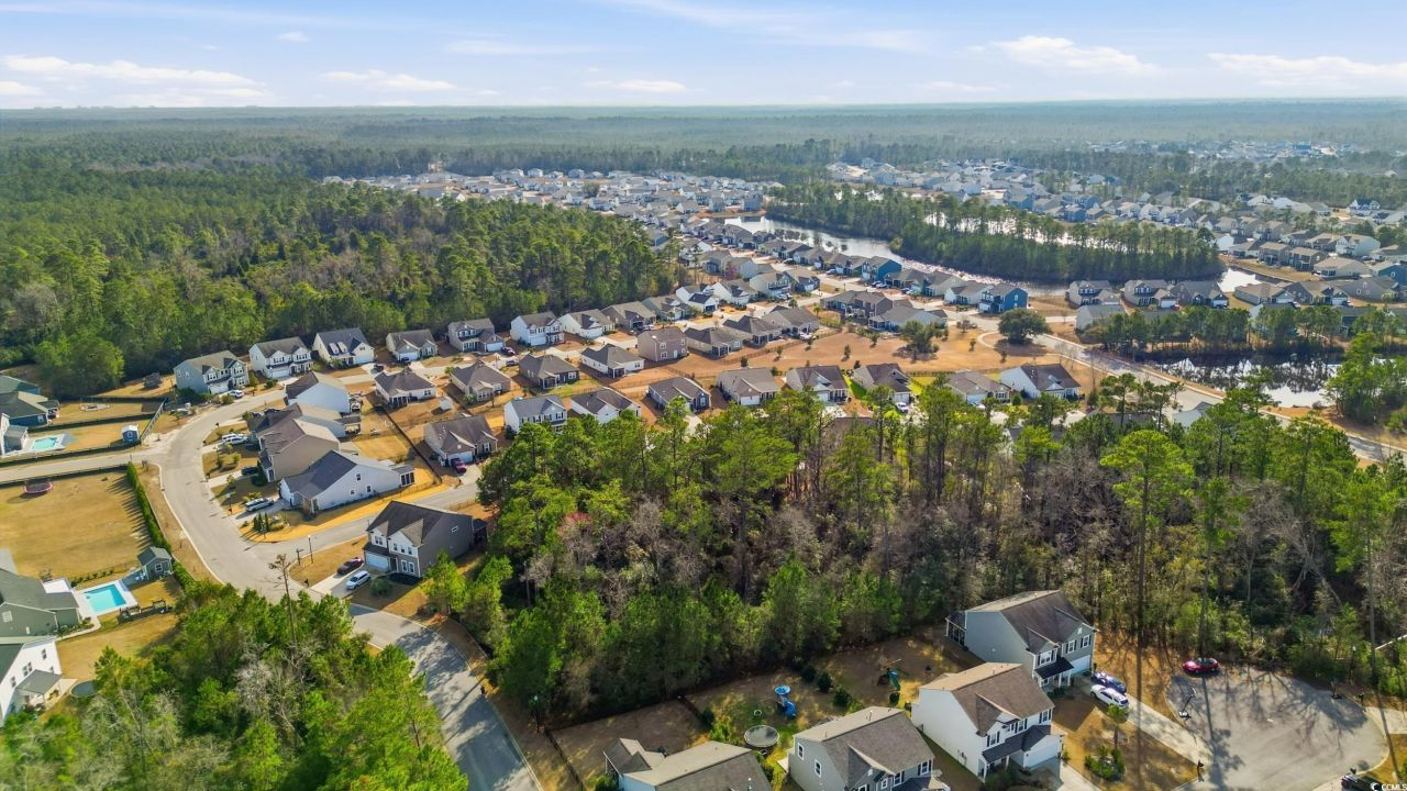 168 Long Leaf Pine Dr. Photo 20