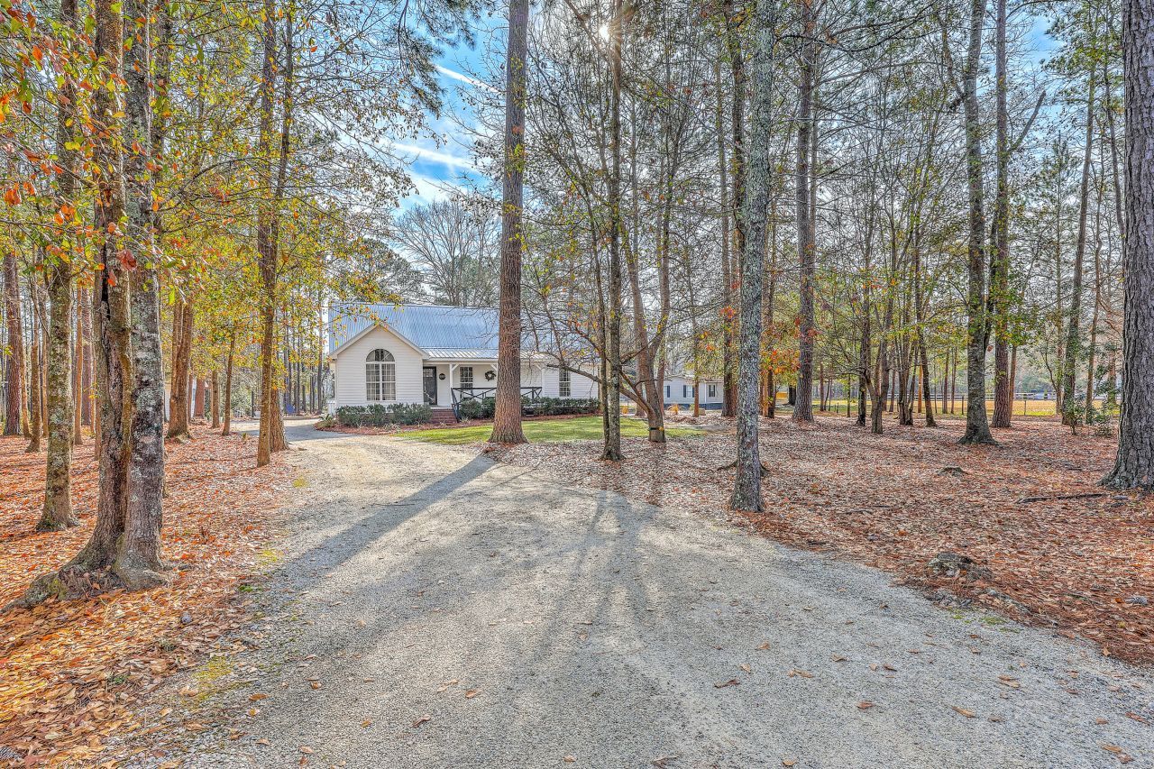 639 Lannie Lane Photo 5