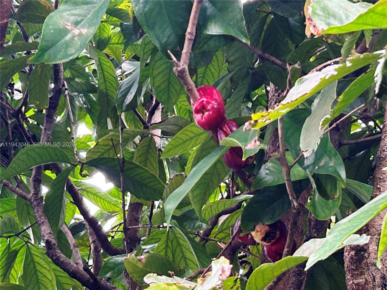 4945 NW 55th Ct, Tamarac, FL 33319 Photo