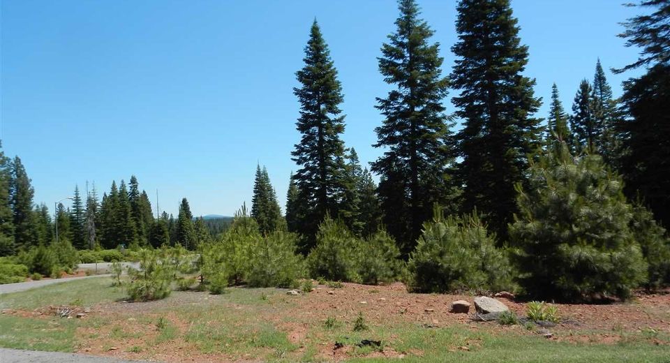 274 Snowy Peak Way, Lake Almanor, CA 96137 Photo