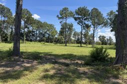 7527 Old Number Six Highway photo 4