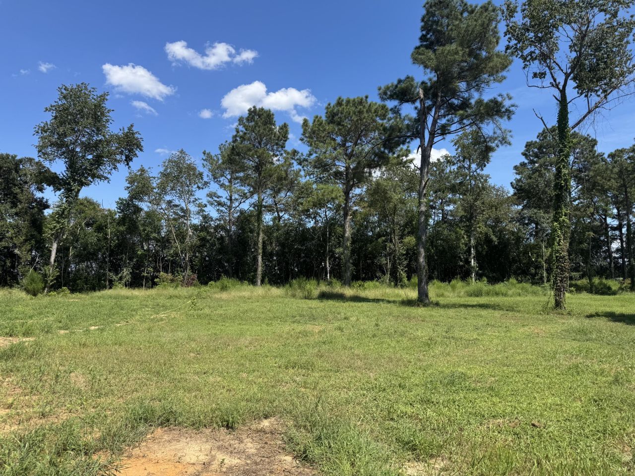 7527 Old Number Six Highway Photo 4