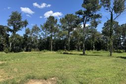 7527 Old Number Six Highway photo 4