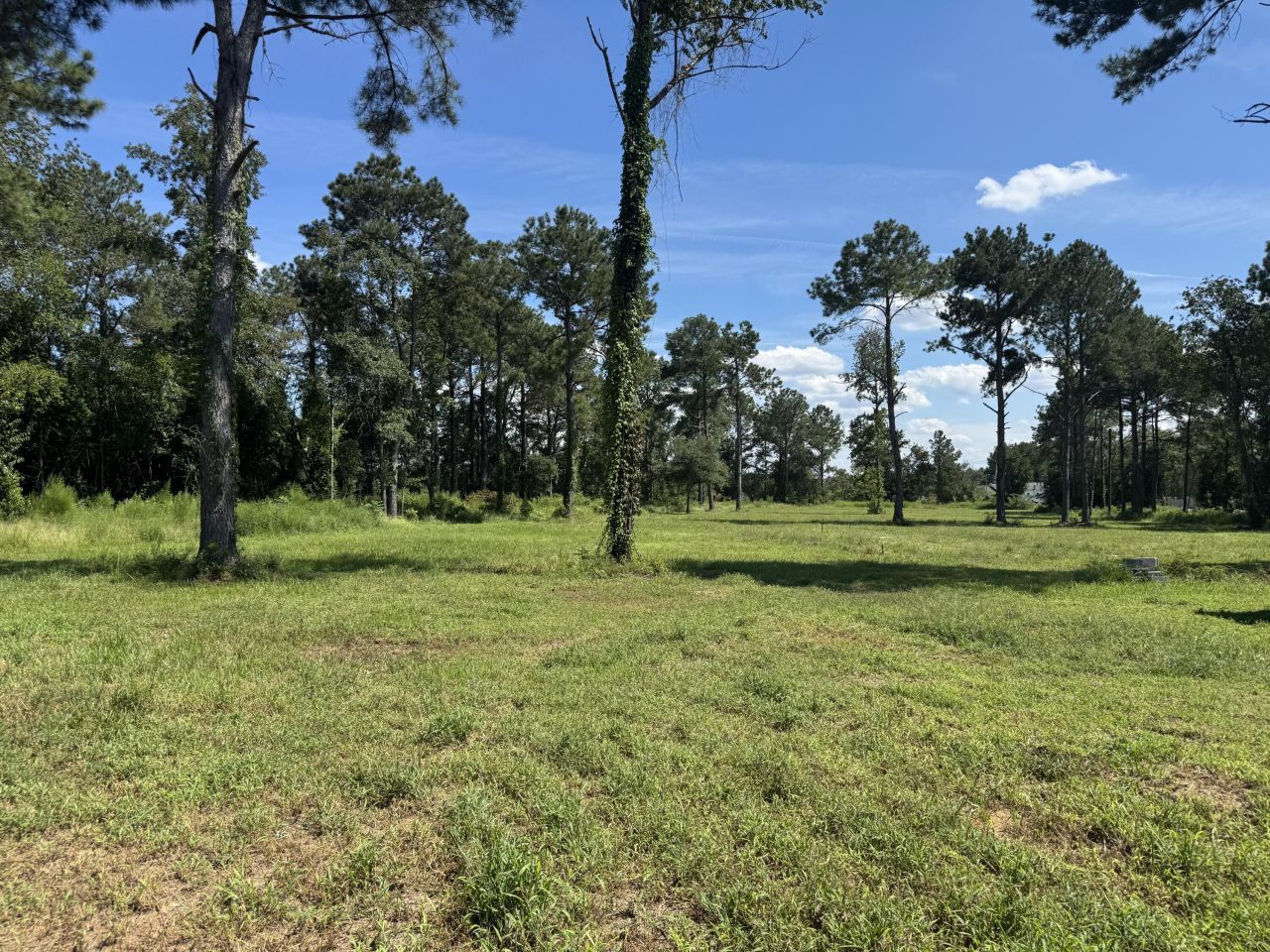 7527 Old Number Six Highway Photo 6