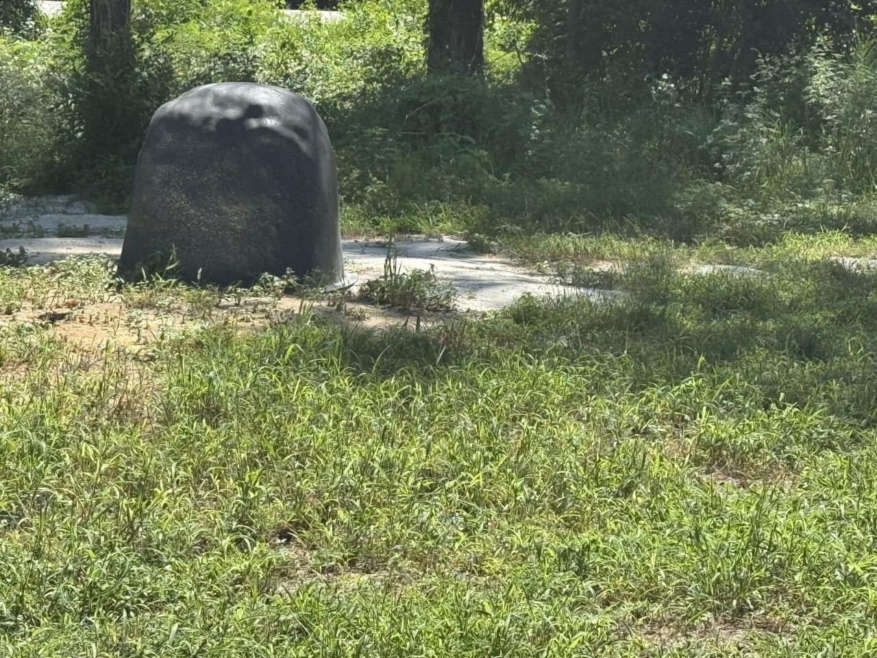 7527 Old Number Six Highway Photo 8