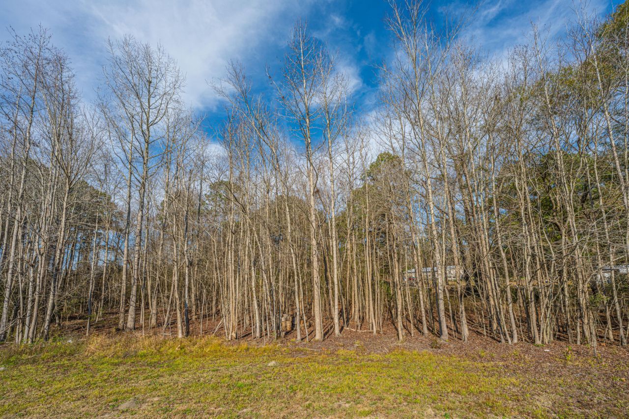 122 Orchid Loop Photo 48