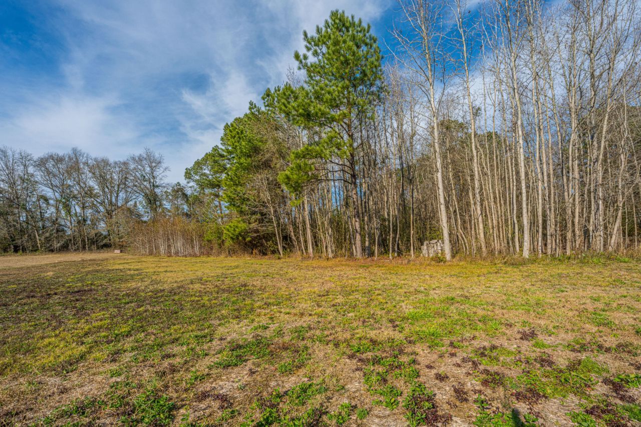 122 Orchid Loop Photo 50