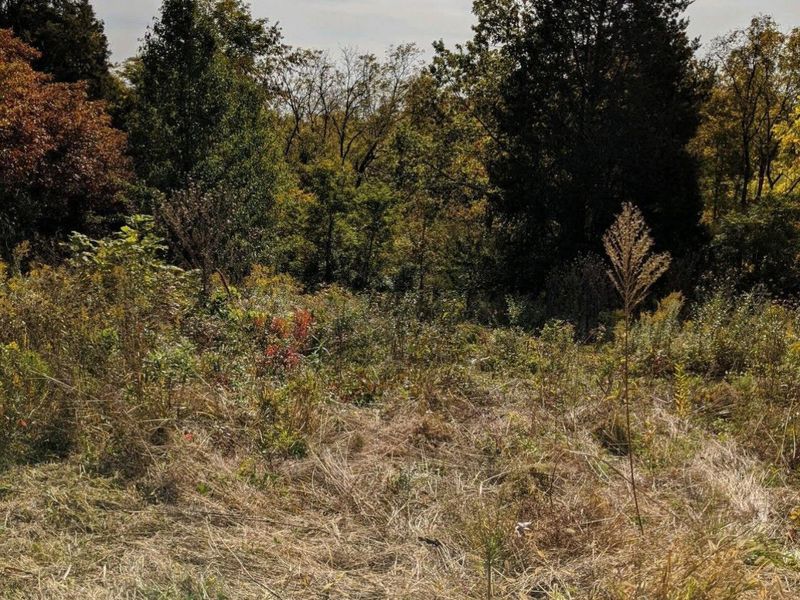 3231 Rector Road, Morning View, KY 41063 Photo 10