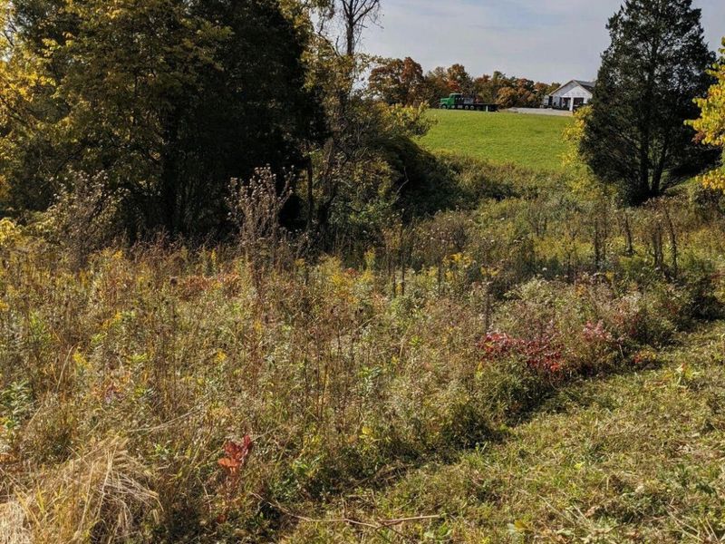 3231 Rector Road, Morning View, KY 41063 Photo 11