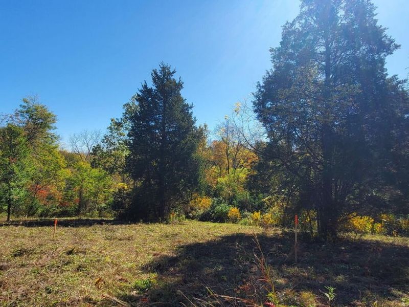 3231 Rector Road, Morning View, KY 41063 Photo 2