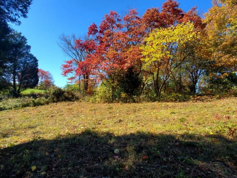 3231 Rector Road, Morning View, KY 41063 Photo 3