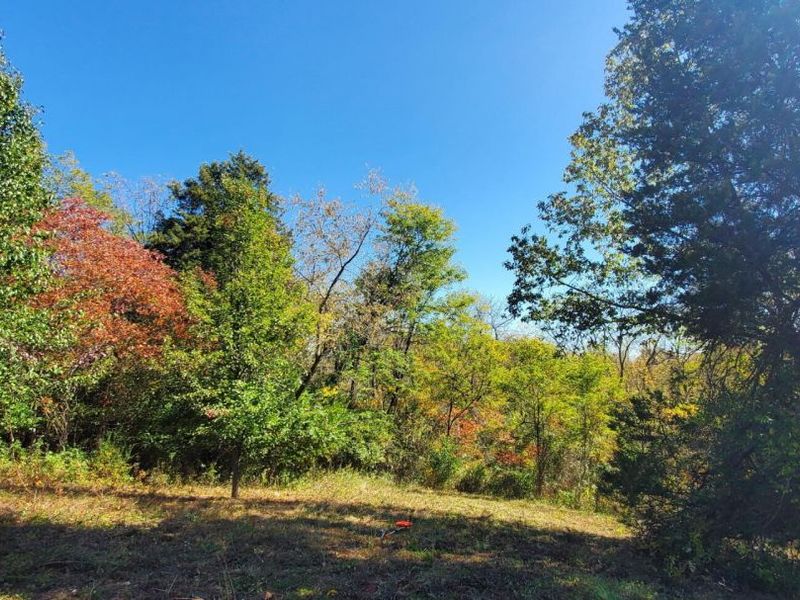 3231 Rector Road, Morning View, KY 41063 Photo 6