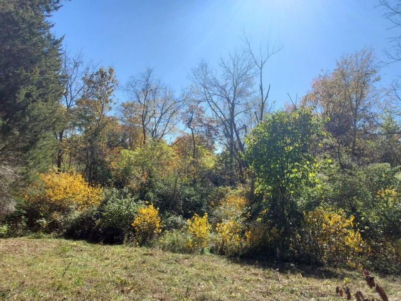 3231 Rector Road, Morning View, KY 41063 Photo 8