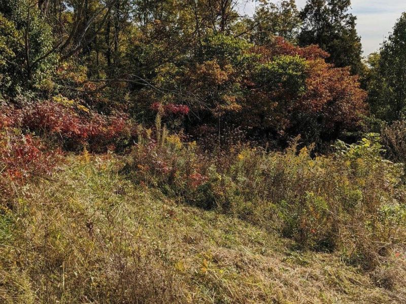 3231 Rector Road, Morning View, KY 41063 Photo 9