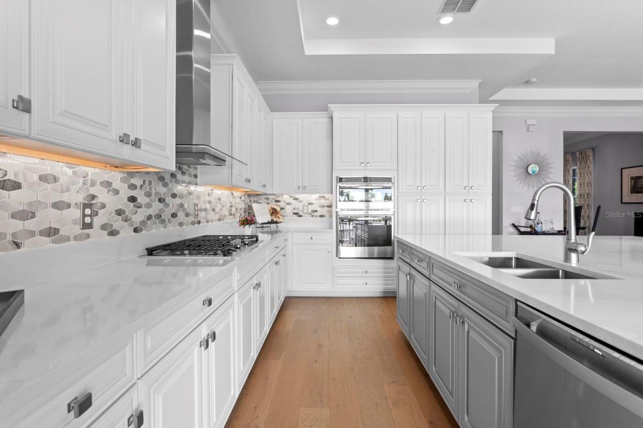 3036 Christophers Watch Lane, Ruskin, FL 33570 Photo