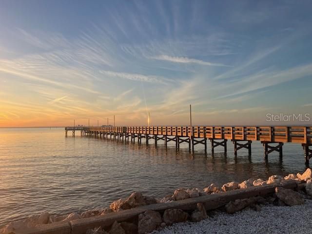 3036 Christophers Watch Lane, Ruskin, FL 33570 Photo