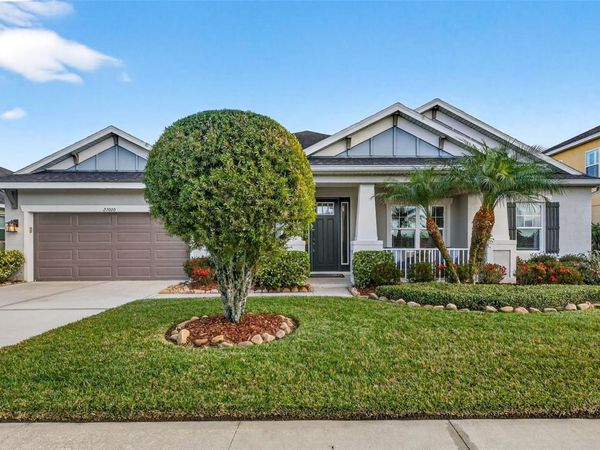 27020 EVERGREEN CHASE DRIVE, WESLEY CHAPEL, FL 33544