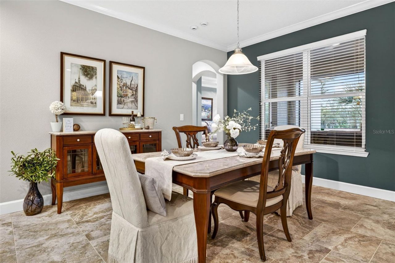 27020 Evergreen Chase Drive, Wesley Chapel, FL 33544 Photo