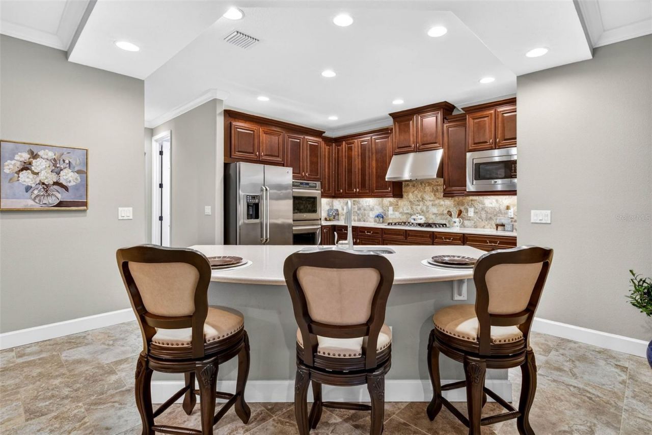 27020 Evergreen Chase Drive, Wesley Chapel, FL 33544 Photo