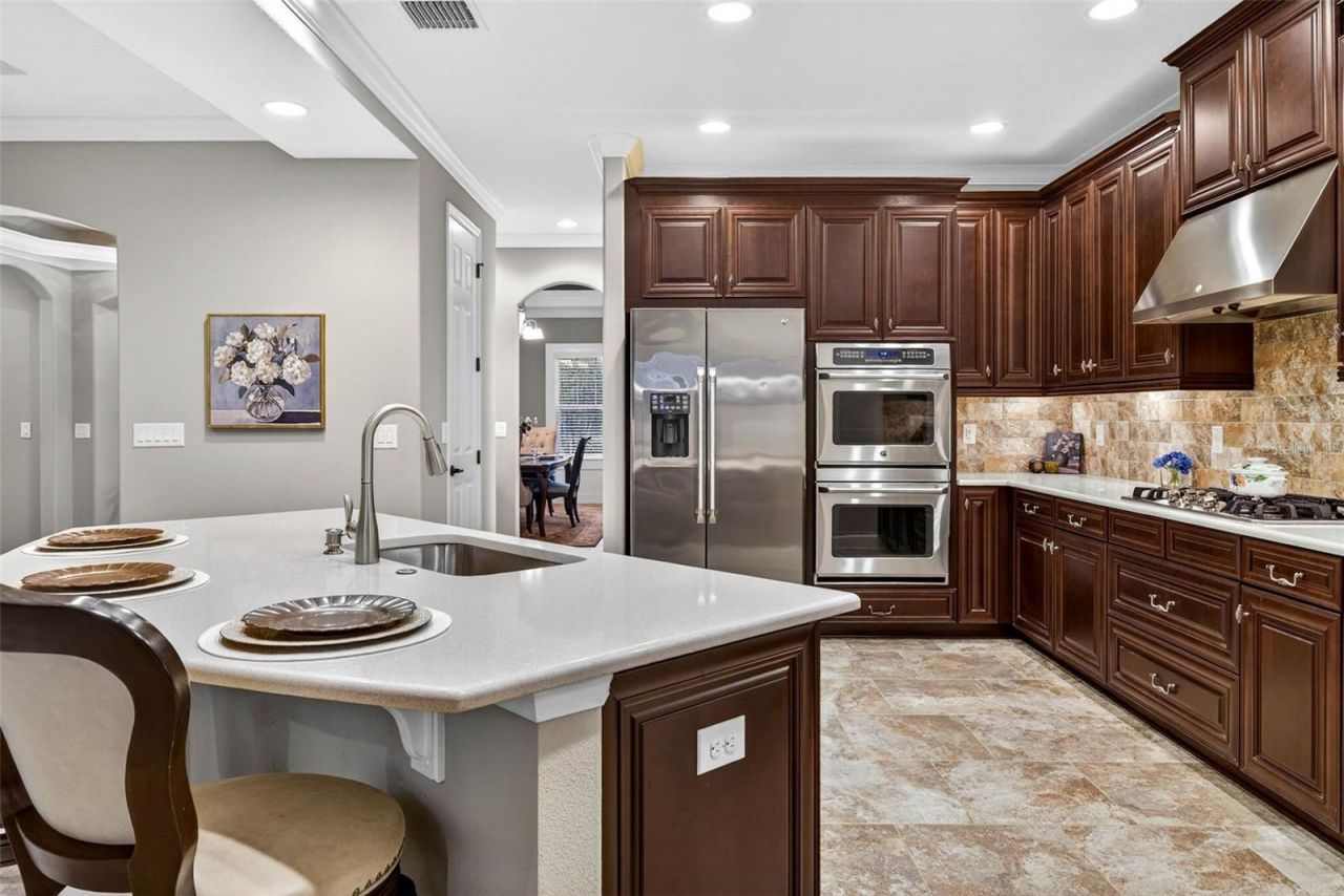 27020 Evergreen Chase Drive, Wesley Chapel, FL 33544 Photo