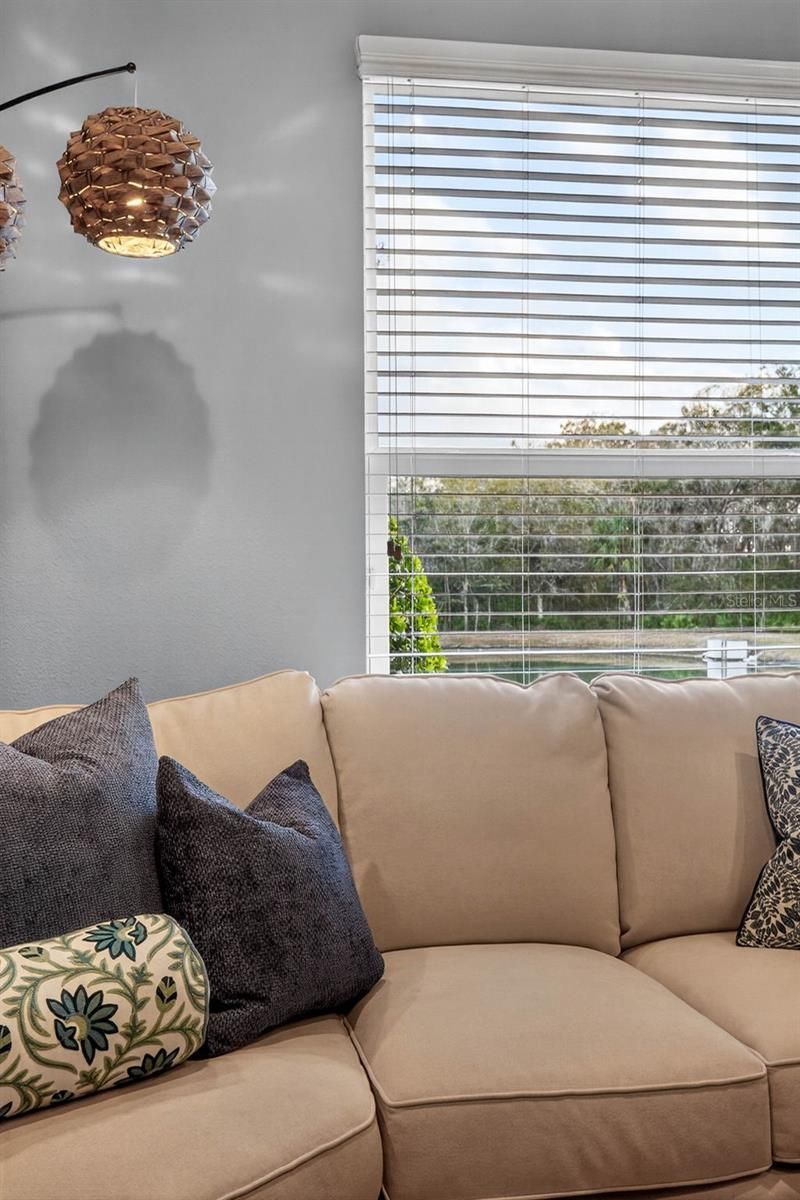 27020 Evergreen Chase Drive, Wesley Chapel, FL 33544 Photo