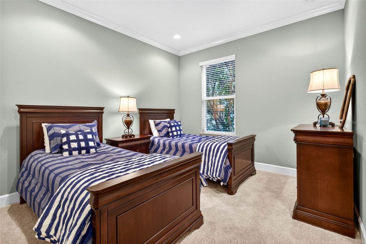 27020 Evergreen Chase Drive, Wesley Chapel, FL 33544 Photo