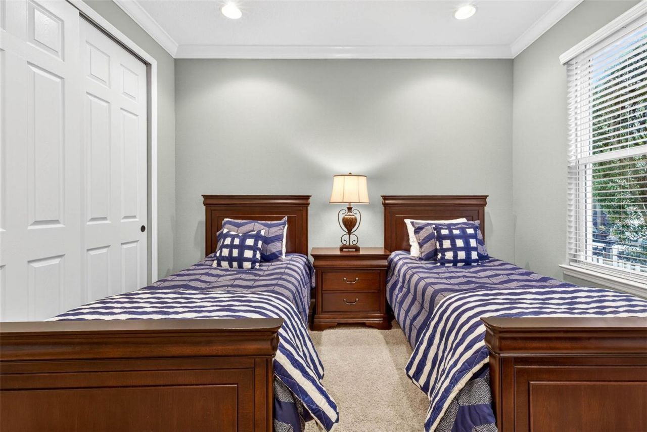 27020 Evergreen Chase Drive, Wesley Chapel, FL 33544 Photo