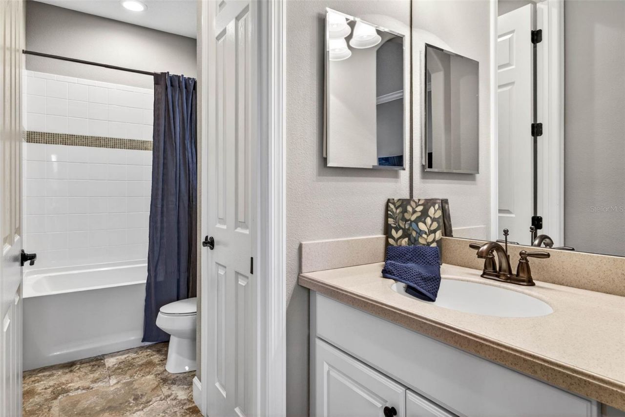 27020 Evergreen Chase Drive, Wesley Chapel, FL 33544 Photo