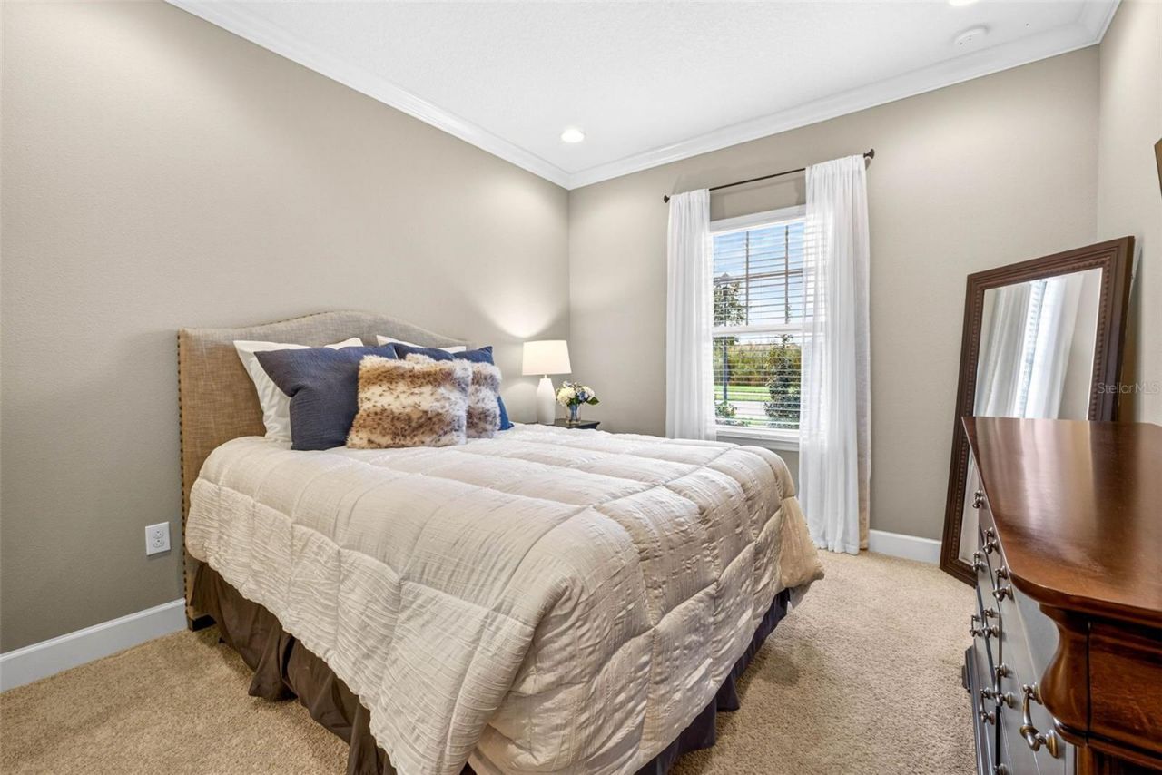 27020 Evergreen Chase Drive, Wesley Chapel, FL 33544 Photo