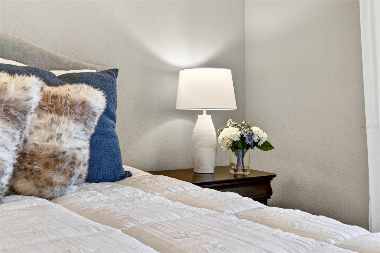 27020 Evergreen Chase Drive, Wesley Chapel, FL 33544 Photo