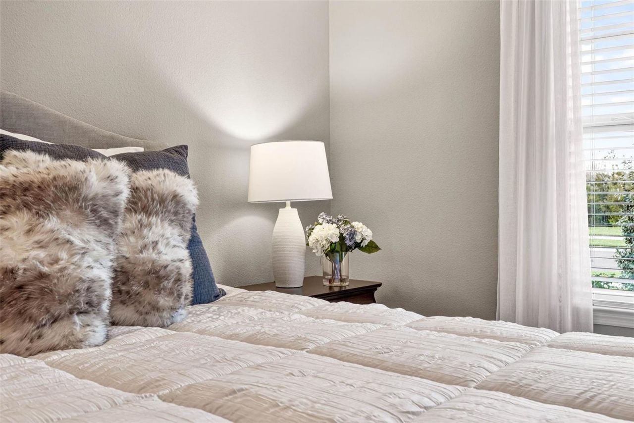 27020 Evergreen Chase Drive, Wesley Chapel, FL 33544 Photo