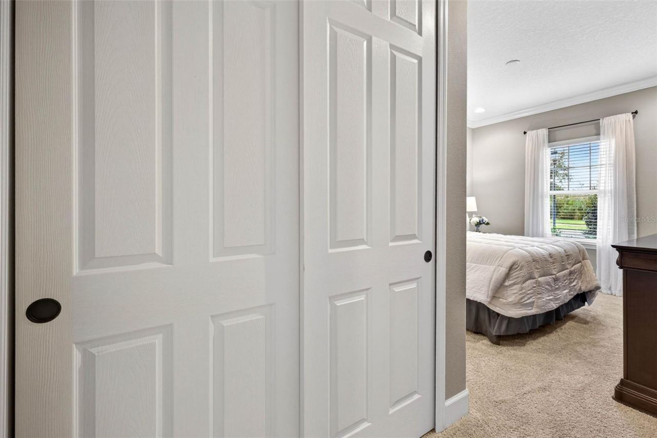 27020 Evergreen Chase Drive, Wesley Chapel, FL 33544 Photo