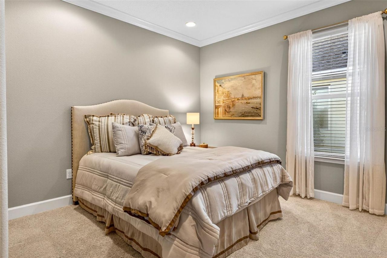 27020 Evergreen Chase Drive, Wesley Chapel, FL 33544 Photo