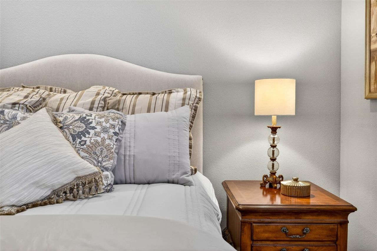 27020 Evergreen Chase Drive, Wesley Chapel, FL 33544 Photo