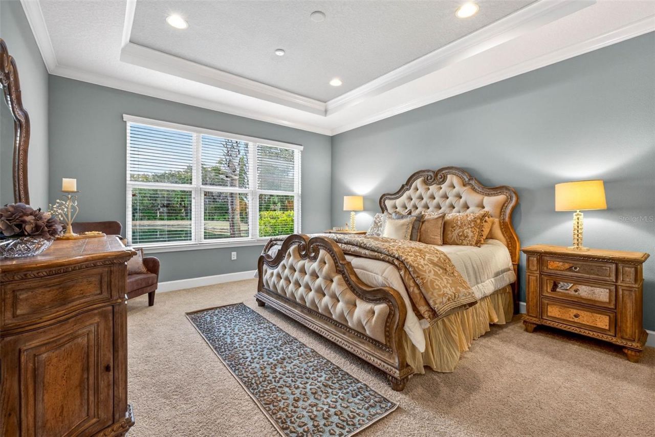 27020 Evergreen Chase Drive, Wesley Chapel, FL 33544 Photo