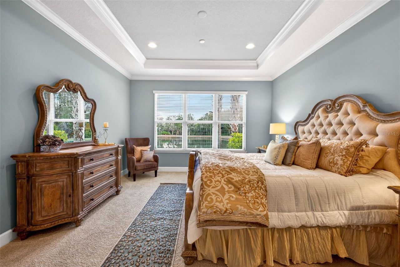 27020 Evergreen Chase Drive, Wesley Chapel, FL 33544 Photo