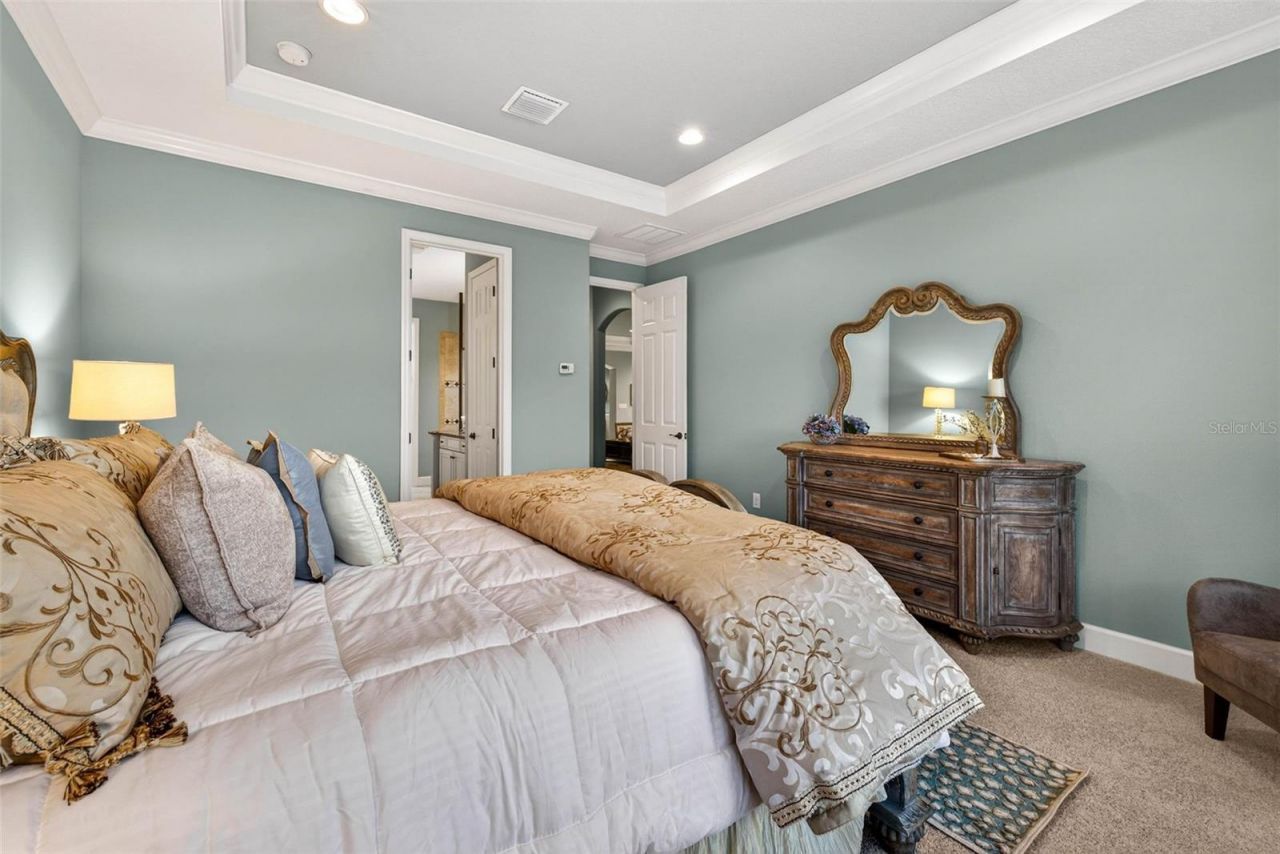 27020 Evergreen Chase Drive, Wesley Chapel, FL 33544 Photo