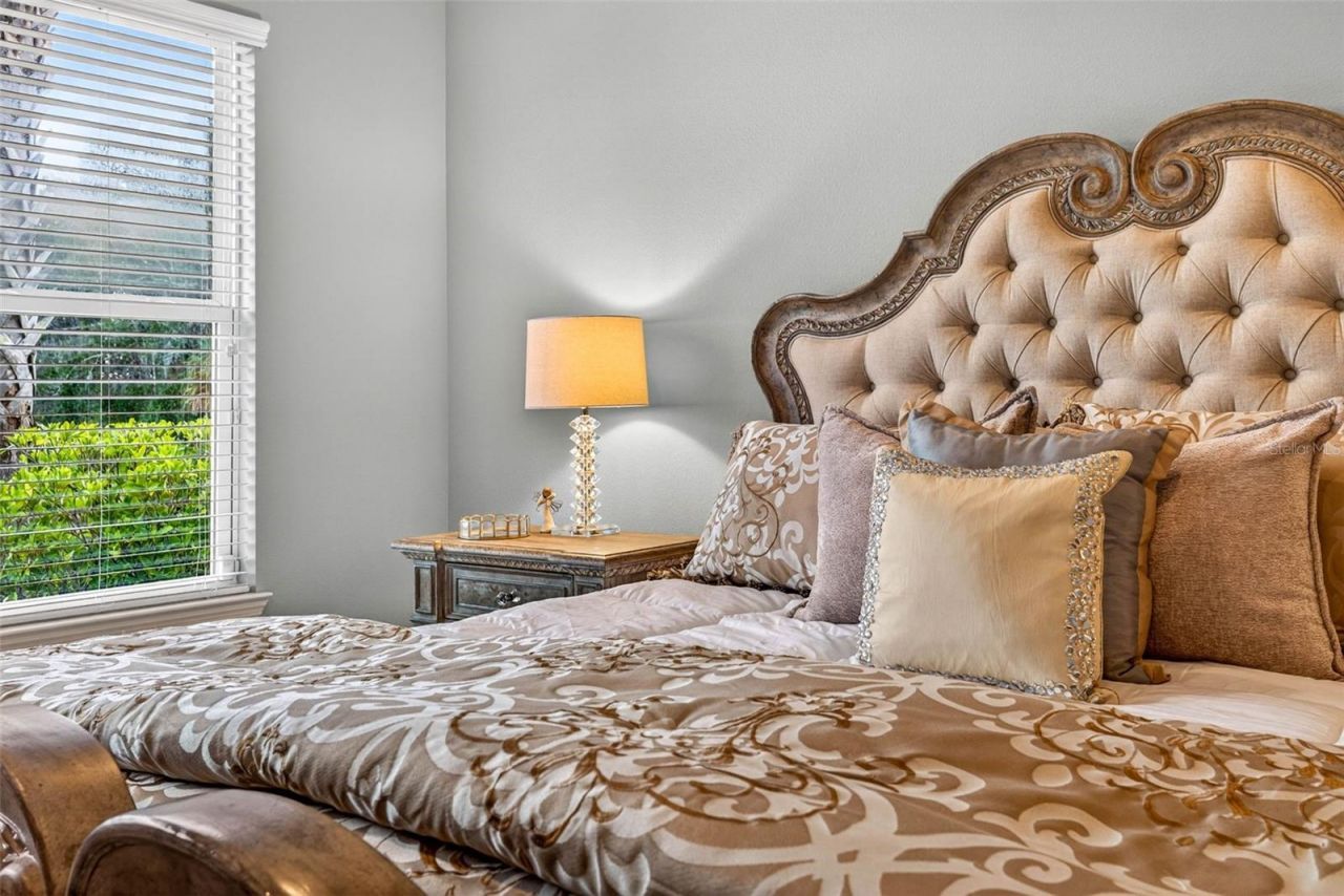 27020 Evergreen Chase Drive, Wesley Chapel, FL 33544 Photo