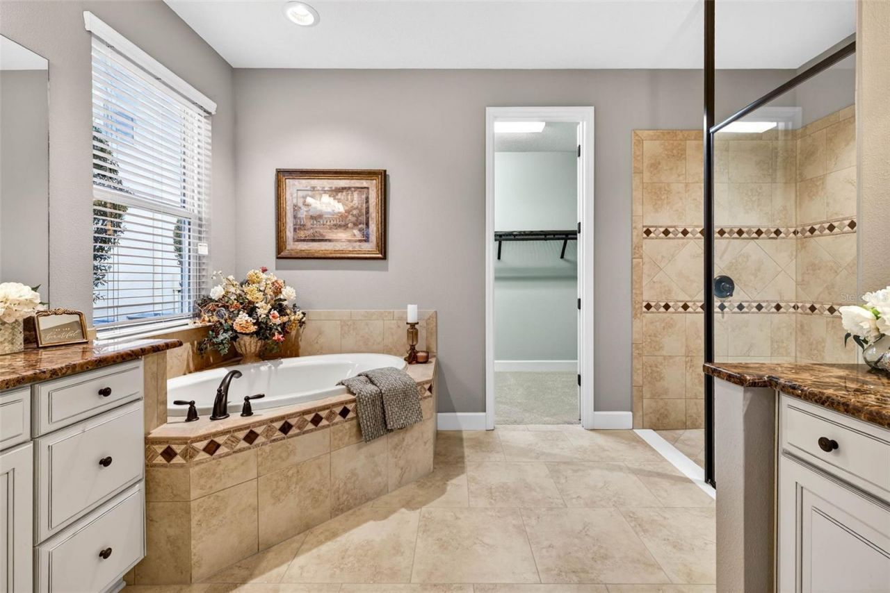 27020 Evergreen Chase Drive, Wesley Chapel, FL 33544 Photo