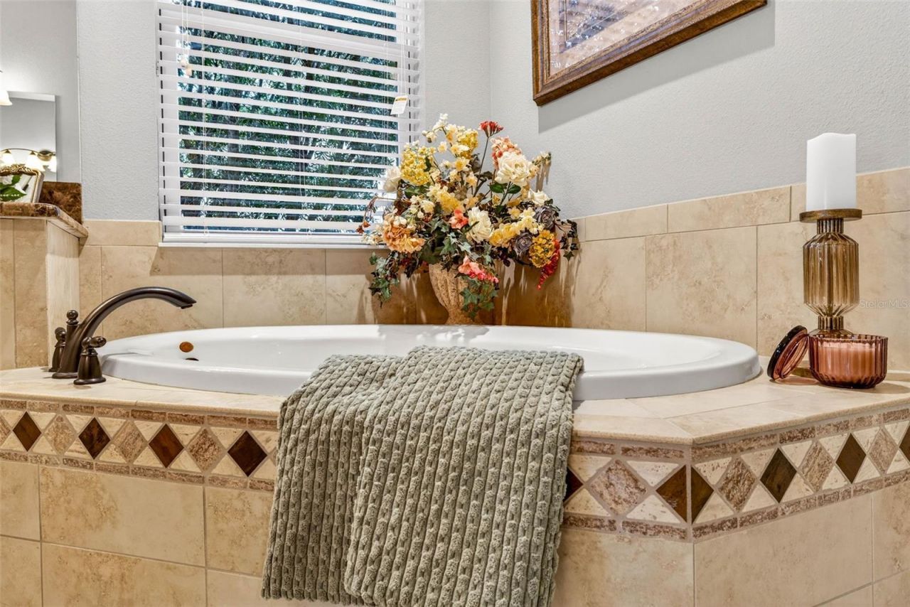 27020 Evergreen Chase Drive, Wesley Chapel, FL 33544 Photo