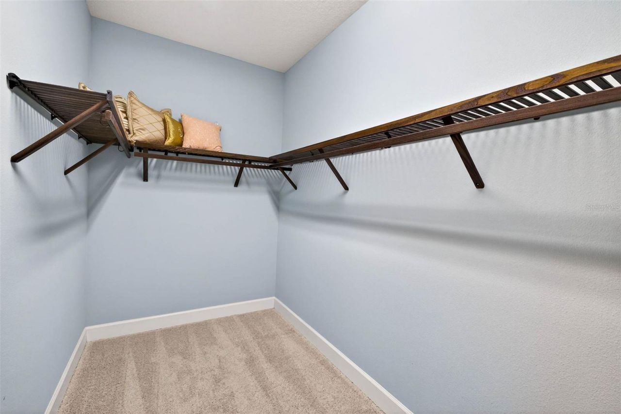 27020 Evergreen Chase Drive, Wesley Chapel, FL 33544 Photo