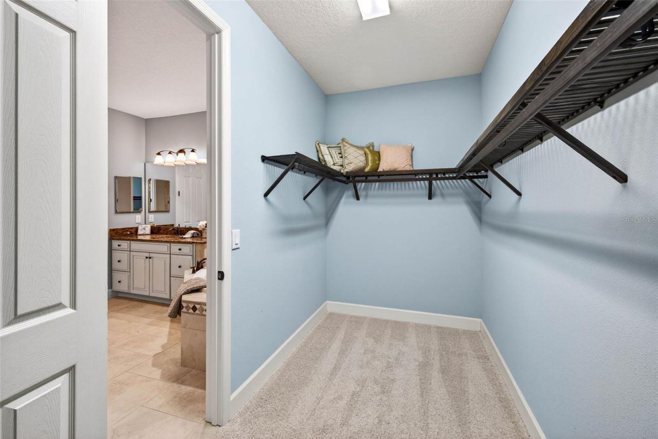 27020 Evergreen Chase Drive, Wesley Chapel, FL 33544 Photo