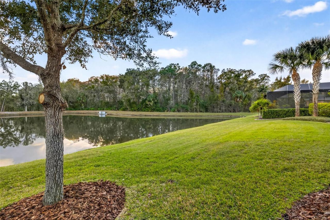 27020 Evergreen Chase Drive, Wesley Chapel, FL 33544 Photo