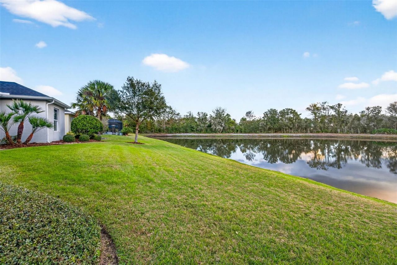 27020 Evergreen Chase Drive, Wesley Chapel, FL 33544 Photo