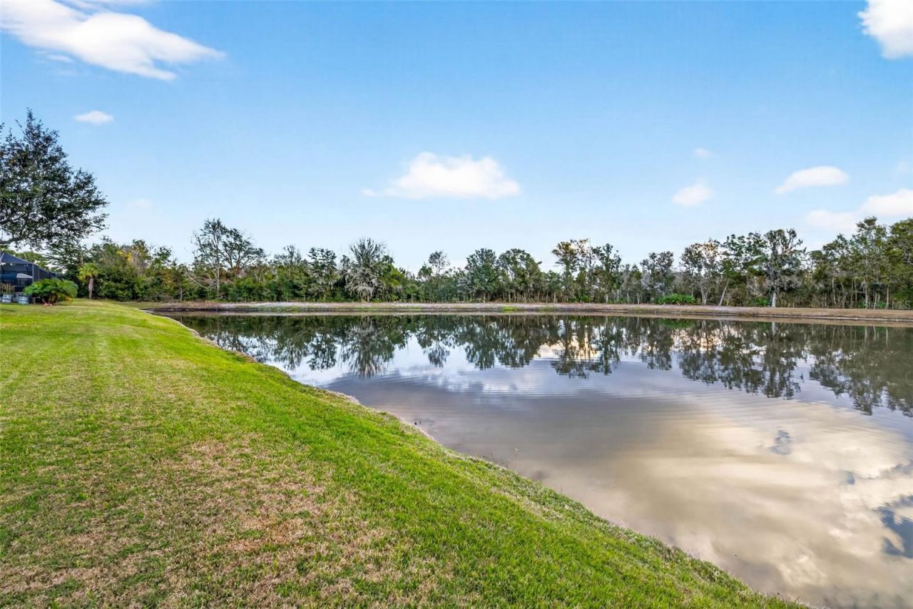 27020 Evergreen Chase Drive, Wesley Chapel, FL 33544 Photo