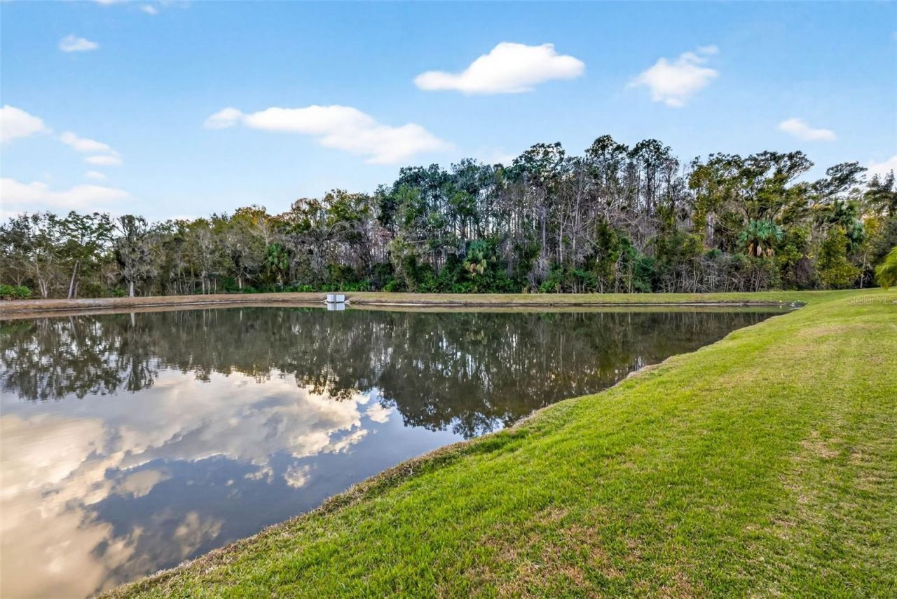 27020 Evergreen Chase Drive, Wesley Chapel, FL 33544 Photo