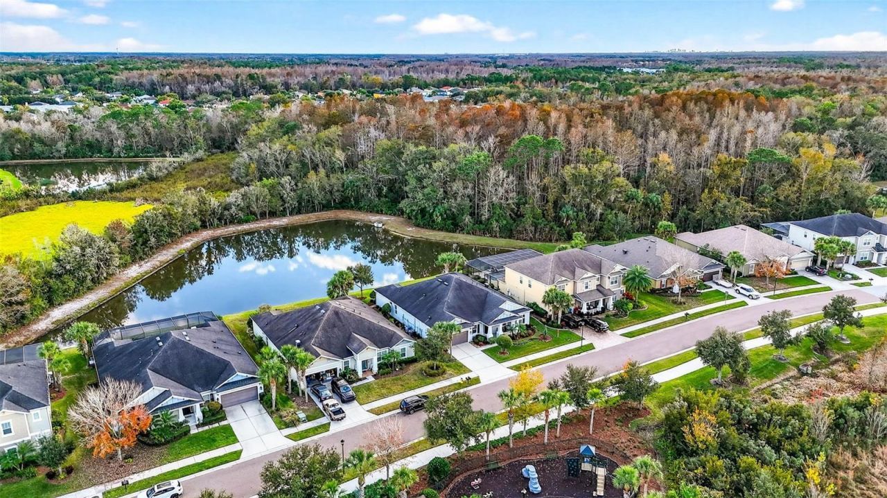 27020 Evergreen Chase Drive, Wesley Chapel, FL 33544 Photo