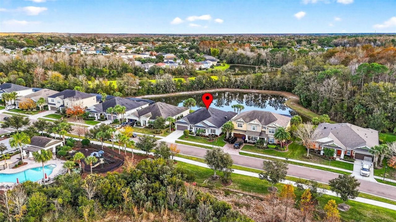 27020 Evergreen Chase Drive, Wesley Chapel, FL 33544 Photo