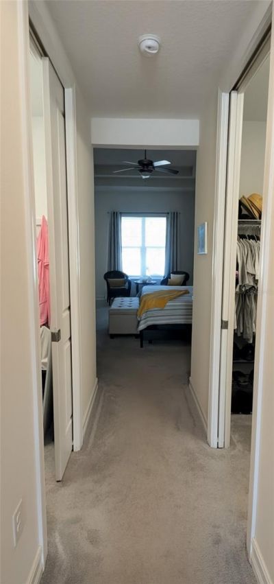 2988 Breezy Meadows Drive, Clearwater, FL 33760 Photo